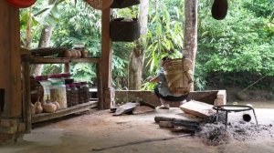 Ly Thi Ca Is More Than 3 Months Pregnant - Harvesting Cantaloupe Goes to market sell