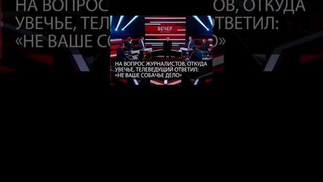 Соловьев получил удар в морду. смотреть онлайн