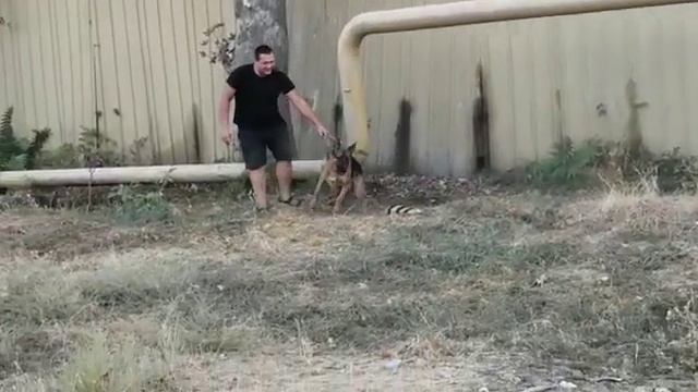 Первые разы берёт рукав смотреть онлайн