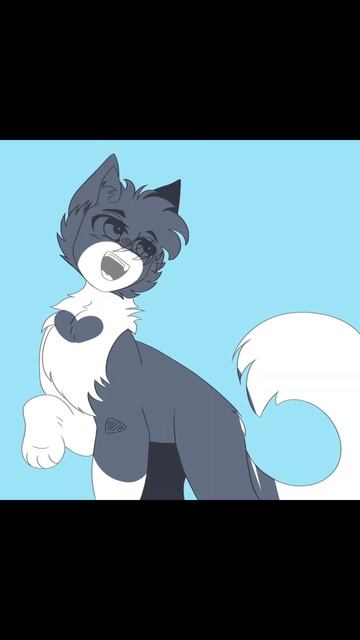 рисуночки в 2 часа ночи🥰🥰🥰 #music#cats #warriorcats #возродимрукв #art #котывоители #speedpaint смотреть онлайн