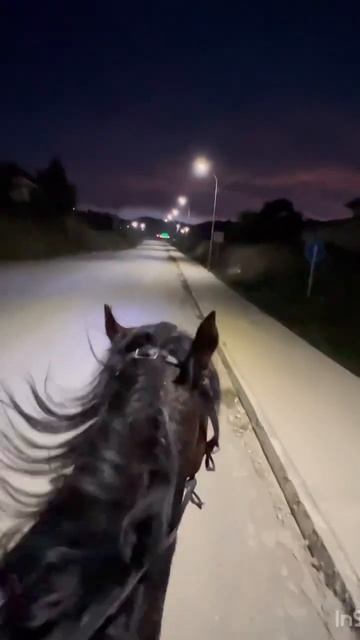 Прогулка на лошади карачаевской породы (Пират) 🐎 смотреть онлайн