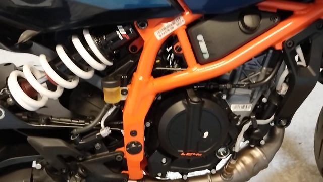 KTM 390 Duke Euro 5 ABS MY 2024 Anno 03/2024 KM 0 - www.openbike.it смотреть онлайн