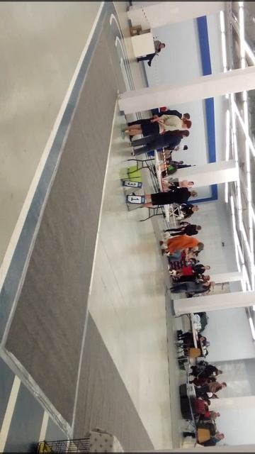 оценка "Отлично" на выставке у Эмили смотреть онлайн