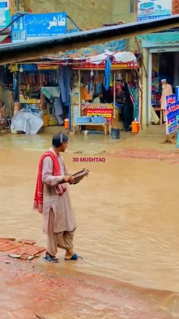 Gray bandega kwash konpuri garega mira Allah gribanda bitchat pascarrijo#cow #camel #tiktak #shorts смотреть онлайн