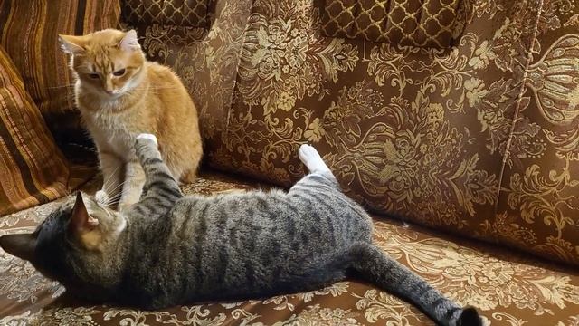 Зимние вечера. Long winter evenings смотреть онлайн