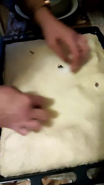 Животные истории: дикая природа