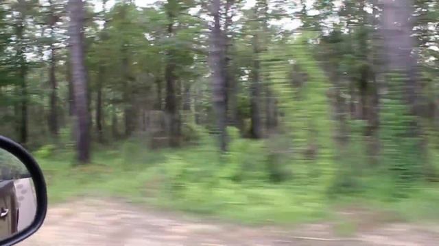 LOUISIANA Public Land Scouting Trip - 2nd Camera SET - Swamp Ass Productions смотреть онлайн