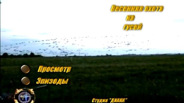 Проба меню гуси.mpg смотреть онлайн