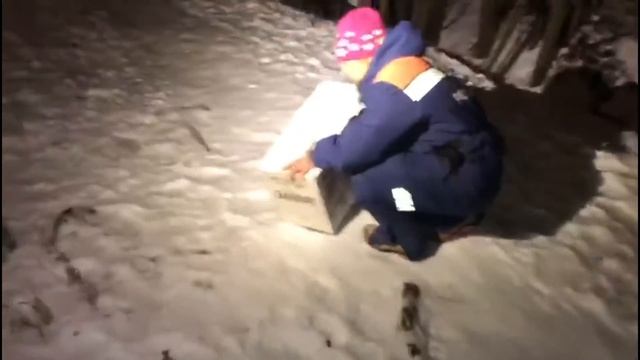 Спасение ворон смотреть онлайн