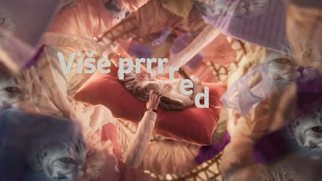 WHISKAS RELAX - RS смотреть онлайн