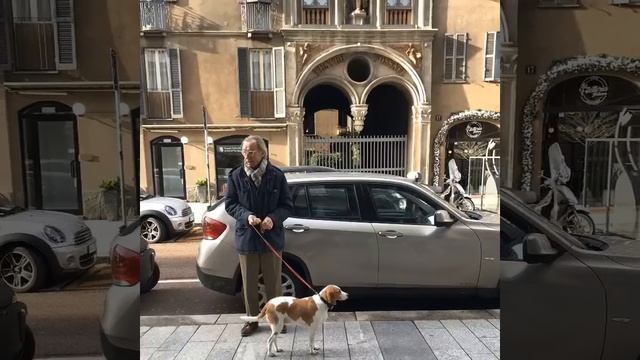 Собаки в Милане смотреть онлайн