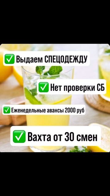#вахта #meme #деньги #rabota #rek #top #москва #отзывы #memes #cat смотреть онлайн