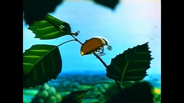 Эх молодёжь. смотреть онлайн