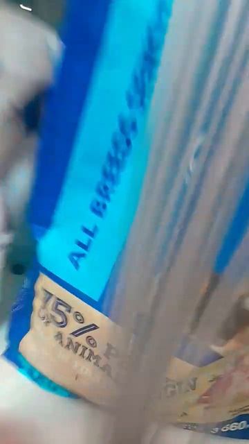 Эщкере мята #dog #анжелика #коргипемброк #токабока смотреть онлайн