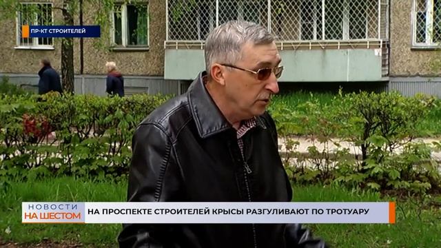 На проспекте Строителей крысы разгуливают по тротуару смотреть онлайн