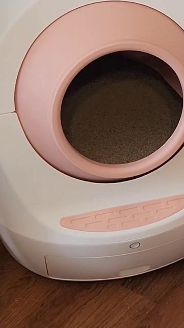 Leo's Loo Too Cat Litter Box смотреть онлайн
