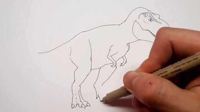 How to Draw T-Rex | Step by Step | Drawing and Coloring смотреть онлайн