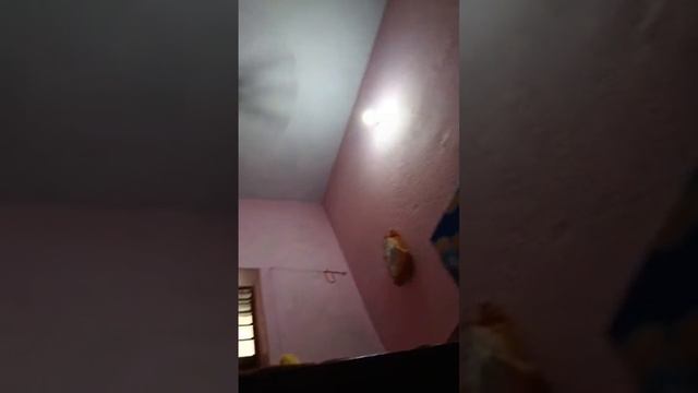 Seema Tara Vlogs🙏🪔 is live смотреть онлайн