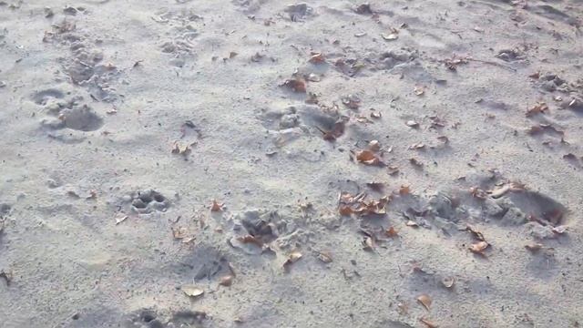 Опять гуляю.... смотреть онлайн