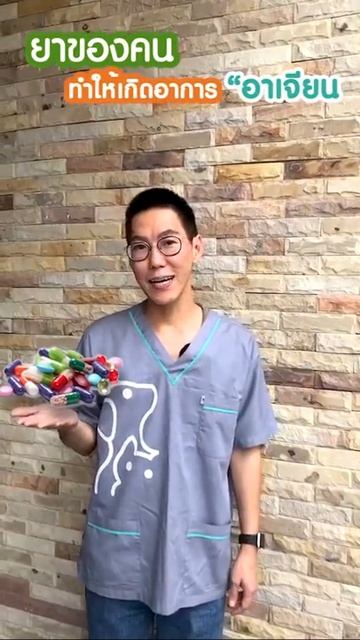 5 อาหารที่น้องหมาน้องแมวห้ามกินเด็ดขาดด ❌🐕😿 смотреть онлайн