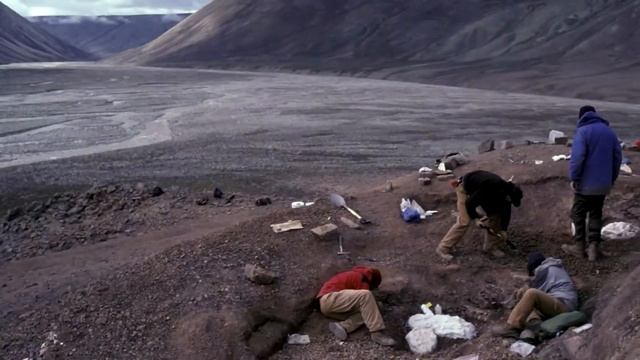 Tiktaalik: A Creature That Makes Us Think about Our Own Evolutionary Roots смотреть онлайн