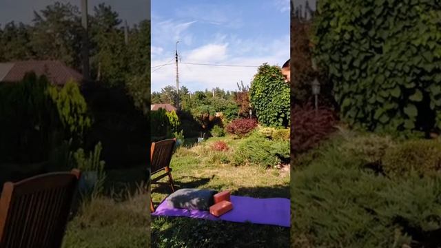 Користь йоги під час місячних. 3 асани для зменьшення больового синдрому під час місячних смотреть онлайн
