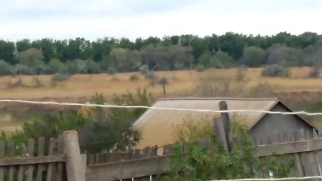 Короче говоря у меня появилась собака смотреть онлайн