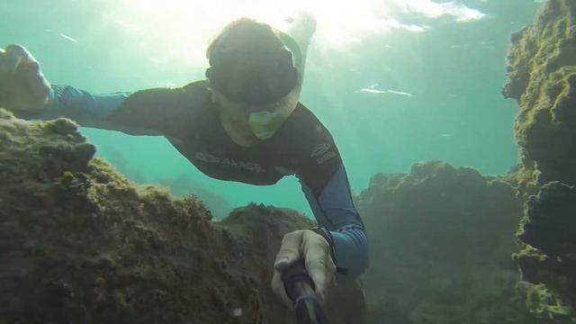 Marriott's Reef Balls. Grand Cayman (by Snorkeling Quest) смотреть онлайн