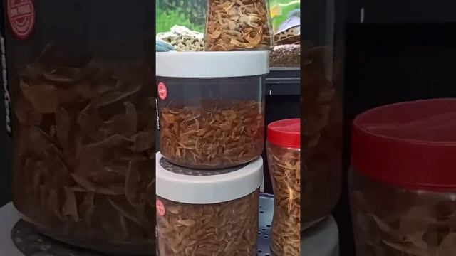 Cheapest Fish Food | 1000 Rupees Shrimp | 1KG смотреть онлайн