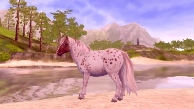 Clip|SSO|Каждый раз смотреть онлайн