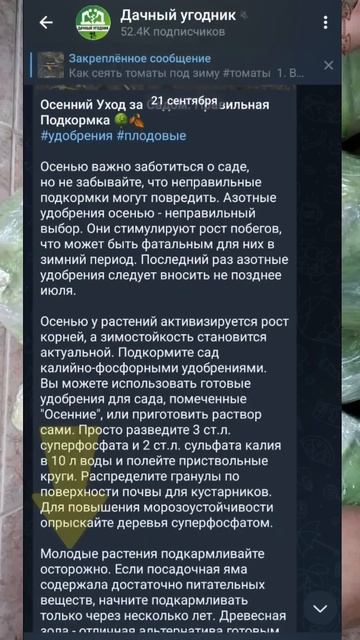 Лучший способ хранения капусты! #дача #капуста #огород #хранение смотреть онлайн