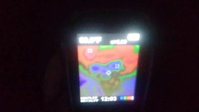How I use my FLIR camera to hunt honey bees смотреть онлайн