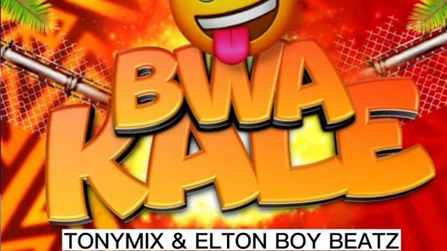 BWA KALE REMIX TONYMIX FT DJ MAX TEAM REMIX смотреть онлайн