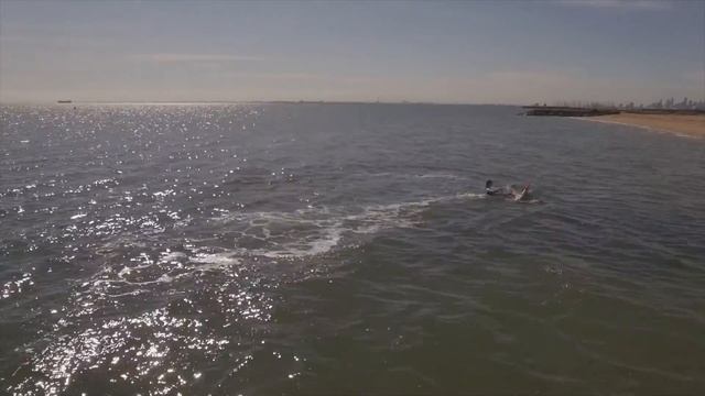 RRD H-FLIGHT HYDROFOIL & DOLPHIN 1 KITE FOIL BOARD