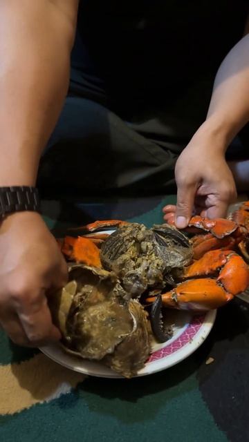 BARU PERCAYA KALAU UKURAN KEPITING PAPUA BESARNYA SEGINI смотреть онлайн