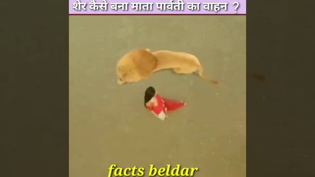 शेर कैसे बना माता पार्वती का वाहन ? / How lion became Sawari of Mata Parvati #shorts #facts #yt смотреть онлайн