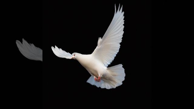 yori sport 2027 смотреть онлайн