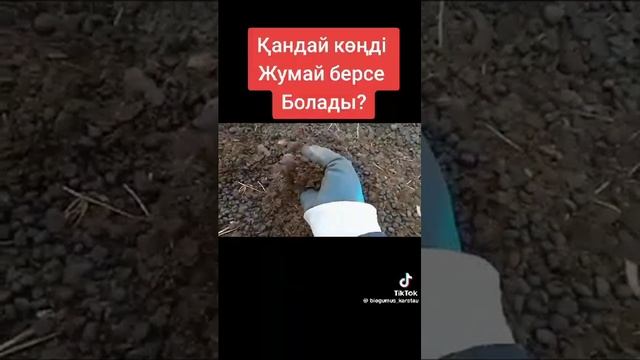 Биогумус көремиз смотреть онлайн