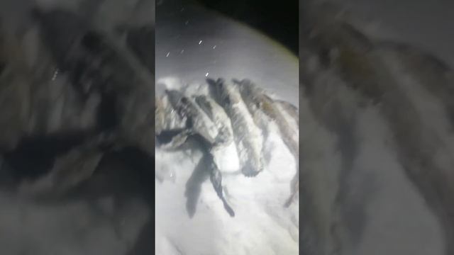 налим 2021 смотреть онлайн