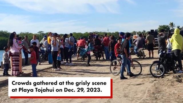 Fisherman dies after having leg bitten off by great white shark while diving for scallops смотреть онлайн