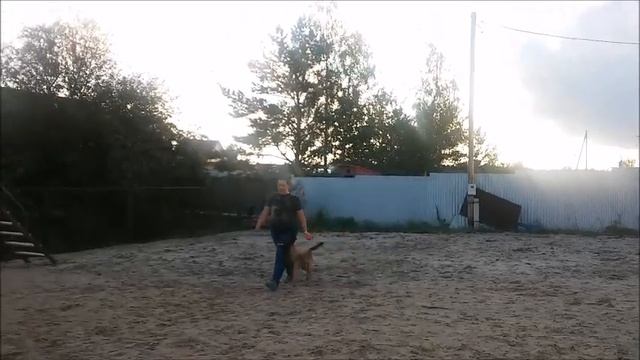 Акварель тренировка смотреть онлайн