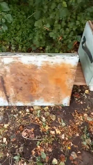 Увеличиваю пасеку. Пасека с нуля смотреть онлайн