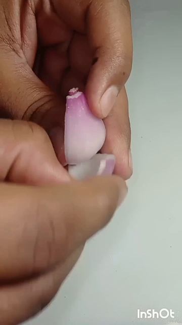 Panner chilli 😋 #shorts смотреть онлайн