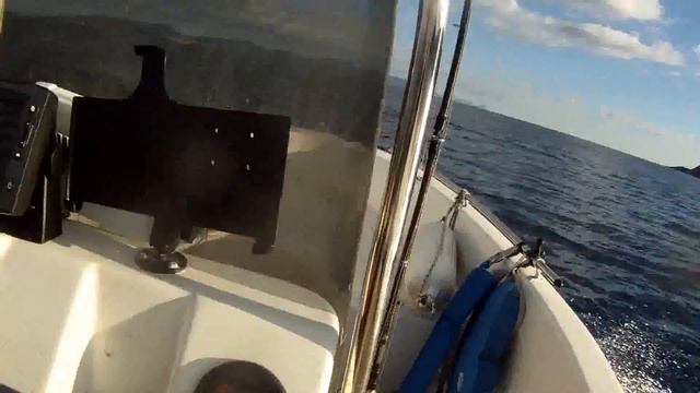 Yamaha F70 4-stroke Outboard 2013 Full Speed.
