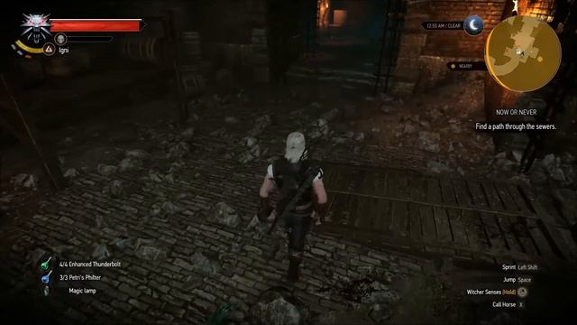 The Witcher 3: Wild Hunt | Ep. 27 - Helping Triss Escape смотреть онлайн