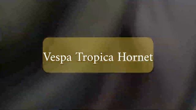 Vespa Tropica nest смотреть онлайн
