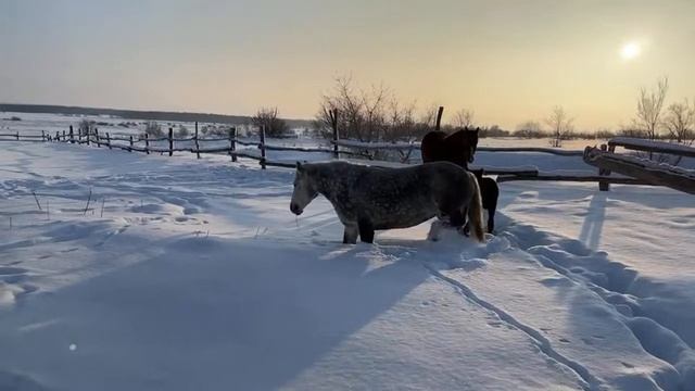 Сельский час #6 смотреть онлайн