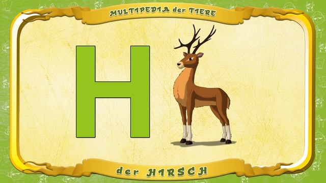 Multipedia der Tiere Buchstabe. H - der Hirsch смотреть онлайн