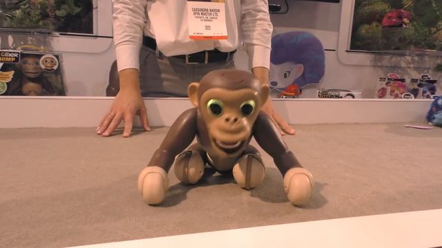 ZOOMER CHIMP by Spin Masters Interactive Robot Monkey First Look - 2016 Toy Fair смотреть онлайн