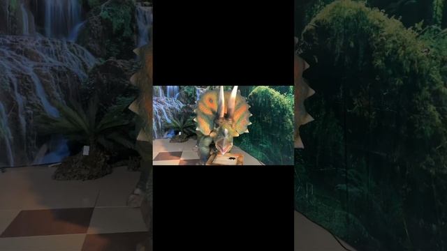 Выставка «Реальных Динозавров»🦕🫰🏼 смотреть онлайн
